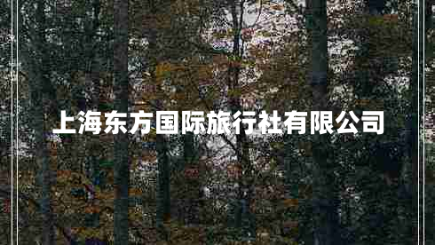 上海東方國(guó)際旅行社有限公司