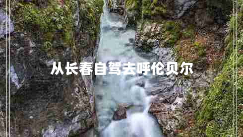 從長(zhǎng)春自駕去呼倫貝爾