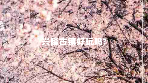 興隆古鎮(zhèn)好玩嗎?