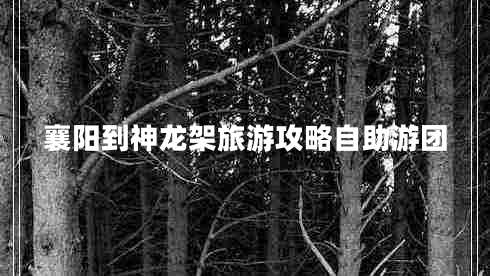 襄陽(yáng)到神龍架旅游攻略自助游團(tuán)