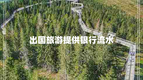 出國(guó)旅游提供銀行流水