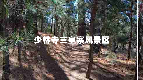 少林寺三皇寨風景區(qū)