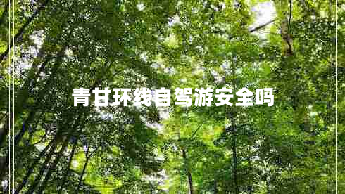 青甘環(huán)線自駕游安全嗎