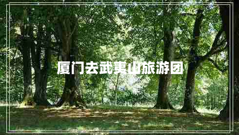 廈門去武夷山旅游團(tuán)