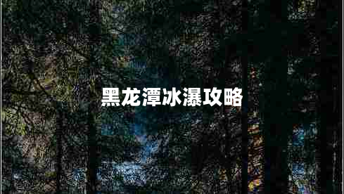 黑龍?zhí)侗俟ヂ? title=
