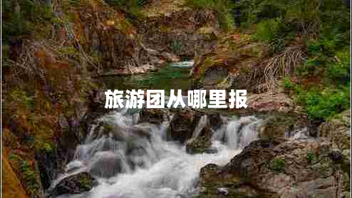 旅游團(tuán)從哪里報(bào)