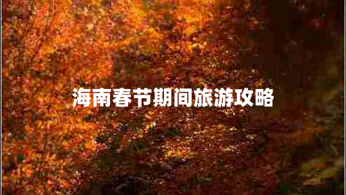 海南春節(jié)期間旅游攻略