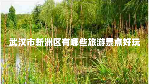 武漢市新洲區(qū)有哪些旅游景點好玩