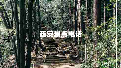 西安景點(diǎn)電話