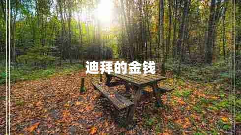 迪拜的金錢
