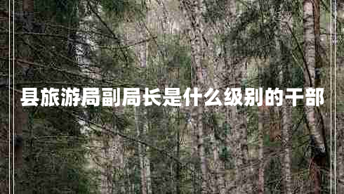 縣旅游局副局長是什么級(jí)別的干部