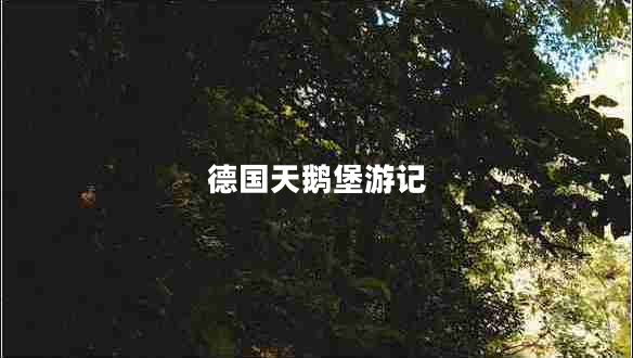德國(guó)天鵝堡游記