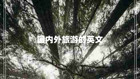 國(guó)內(nèi)外旅游的英文