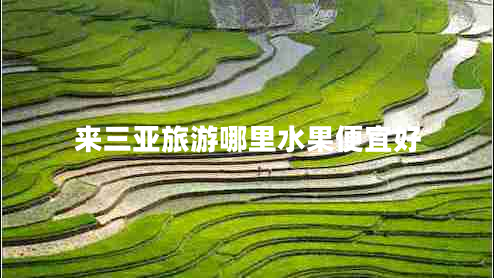 來三亞旅游哪里水果便宜好