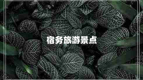 宿務(wù)旅游景點