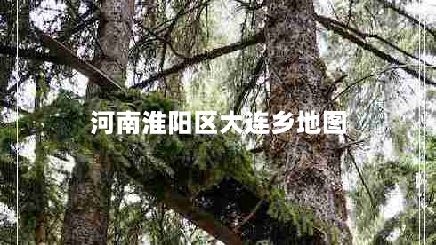 河南淮陽(yáng)區(qū)大連鄉(xiāng)地圖