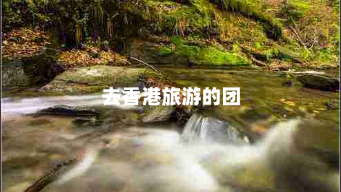 去香港旅游的團(tuán)