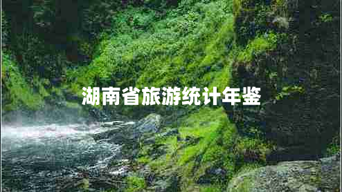 湖南省旅游統(tǒng)計年鑒