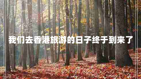 我們?nèi)ハ愀勐糜蔚娜兆咏K于到來(lái)了