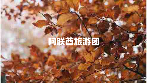 阿聯(lián)酋旅游團(tuán)