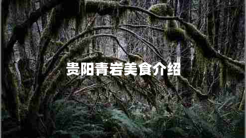 貴陽青巖美食介紹