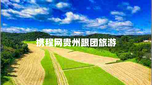 攜程網(wǎng)貴州跟團(tuán)旅游