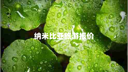 納米比亞旅游報價
