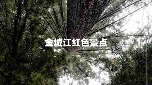 金城江紅色景點