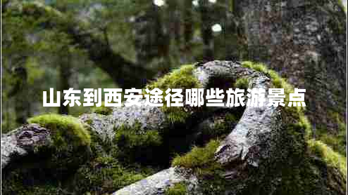 山東到西安途徑哪些旅游景點