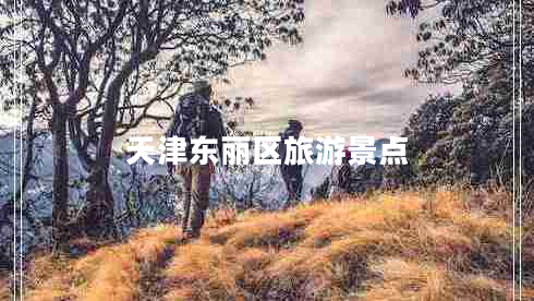天津東麗區(qū)旅游景點(diǎn)
