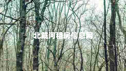 北戴河租房信息網