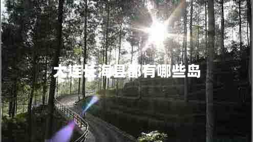 大連長(zhǎng)?？h都有哪些島
