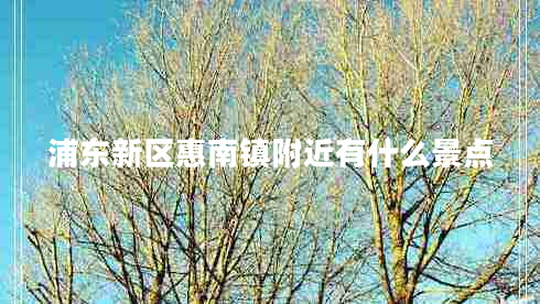 浦東新區(qū)惠南鎮(zhèn)附近有什么景點(diǎn)
