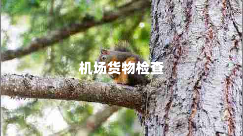 機(jī)場貨物檢查