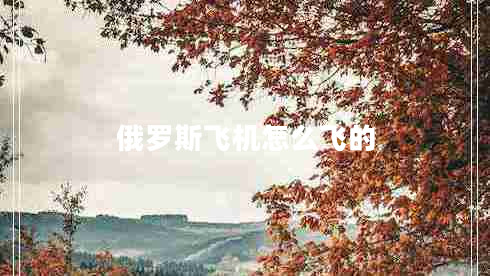 俄羅斯飛機(jī)怎么飛的