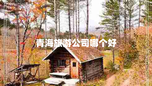 青海旅游公司哪個(gè)好