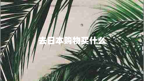 去日本購物買什么