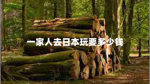 一家人去日本玩要多少錢