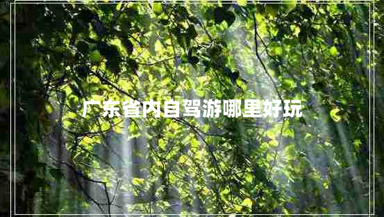 廣東省內(nèi)自駕游哪里好玩