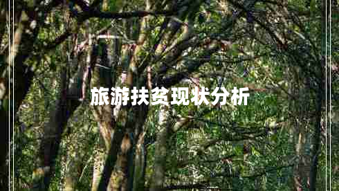 旅游扶貧現(xiàn)狀分析