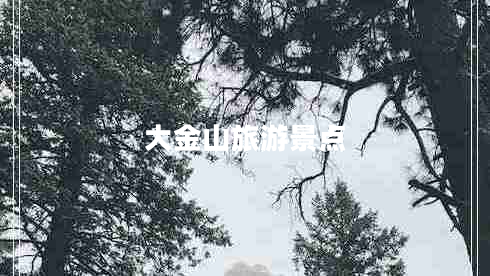 大金山旅游景點