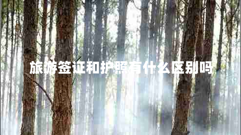 旅游簽證和護(hù)照有什么區(qū)別嗎
