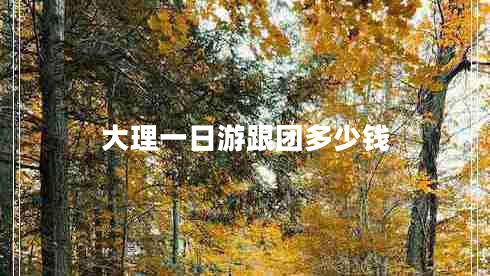 大理一日游跟團多少錢