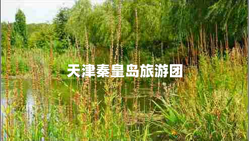 天津秦皇島旅游團(tuán)