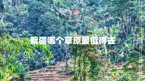 新疆哪個草原最值得去