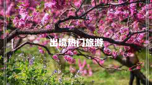 出境熱門旅游