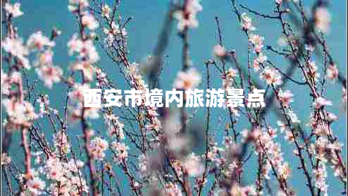 西安市境內(nèi)旅游景點(diǎn)