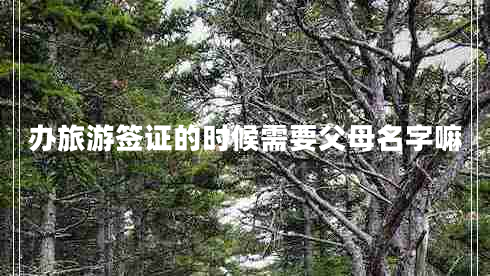 辦旅游簽證的時候需要父母名字嘛