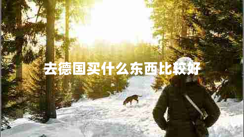 去德國(guó)買什么東西比較好