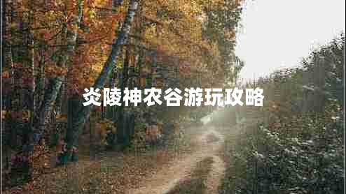炎陵神農(nóng)谷游玩攻略
